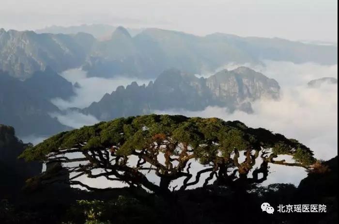 【历史回顾】覃迅云：走出瑶山 北行创业