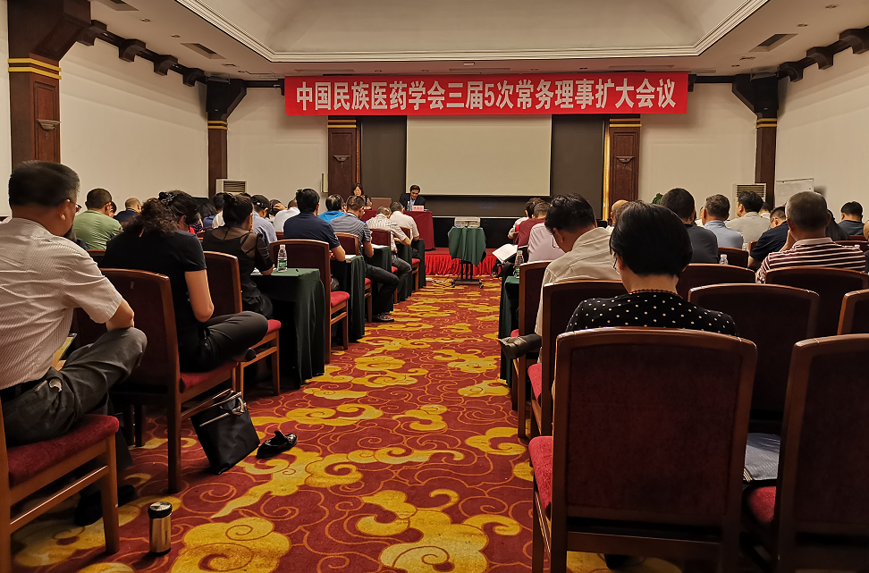 覃迅云教授参加中国民族医药学会三届5次常务理事扩大会议