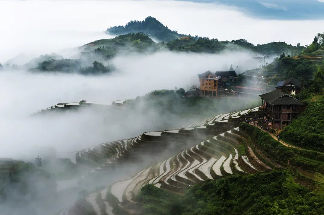 第十八届北京中医药文化宣传周、第十七届地坛中医药健康文化节即将开幕