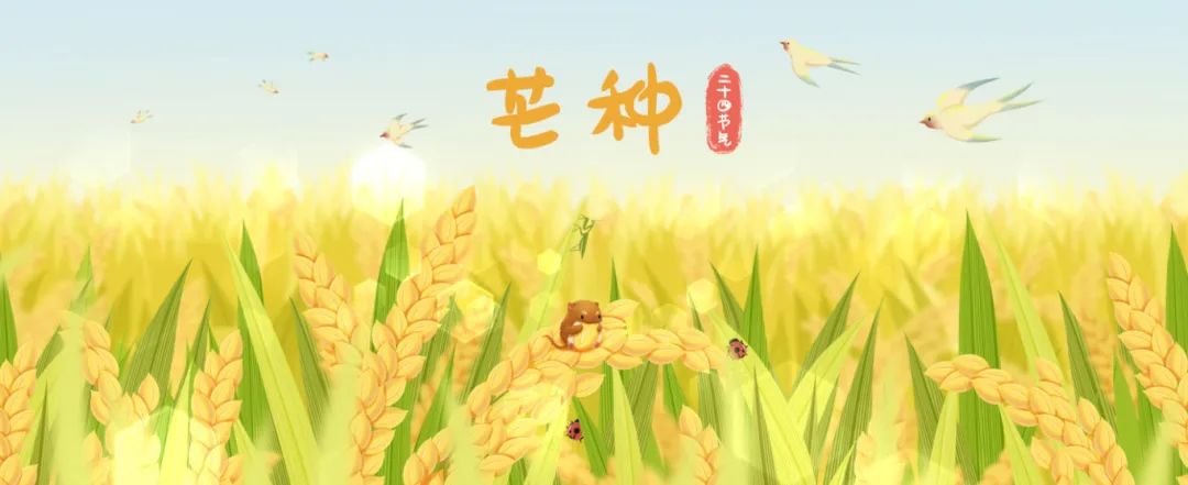摄图网_401929935_芒种麦田插画banner(企业商用).jpg